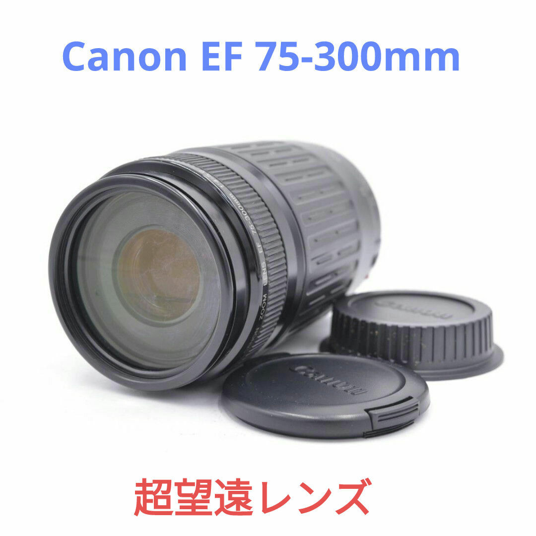 Canon(キヤノン)の3月26日限定販売✨【超望遠レンズ】Canon EF 75-300mm スマホ/家電/カメラのカメラ(レンズ(ズーム))の商品写真