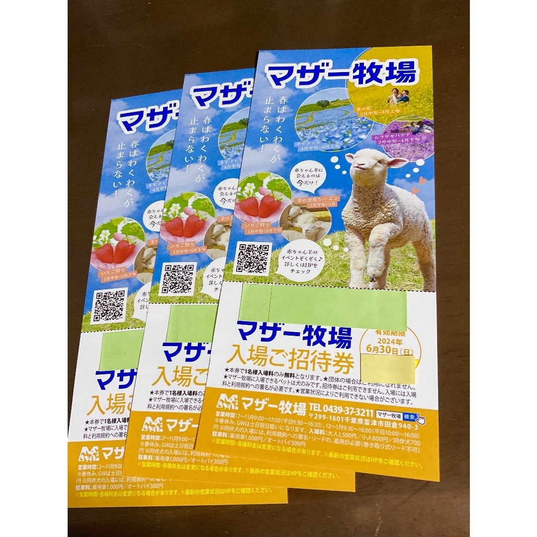 千葉県 マザー牧場 ♡ 入園券３枚セットです！♡ ’24 /６.30 迄 チケットの施設利用券(動物園)の商品写真
