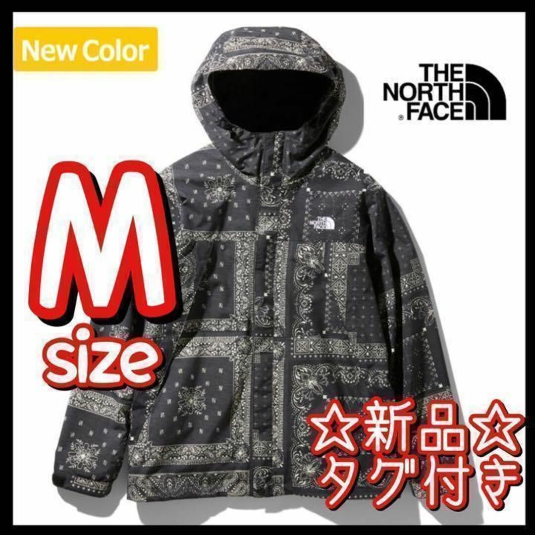 THE NORTH FACE(ザノースフェイス)の超激レア 新品 ノースフェイス ノベルティー スクープジャケット バンダナ柄 M メンズのジャケット/アウター(マウンテンパーカー)の商品写真