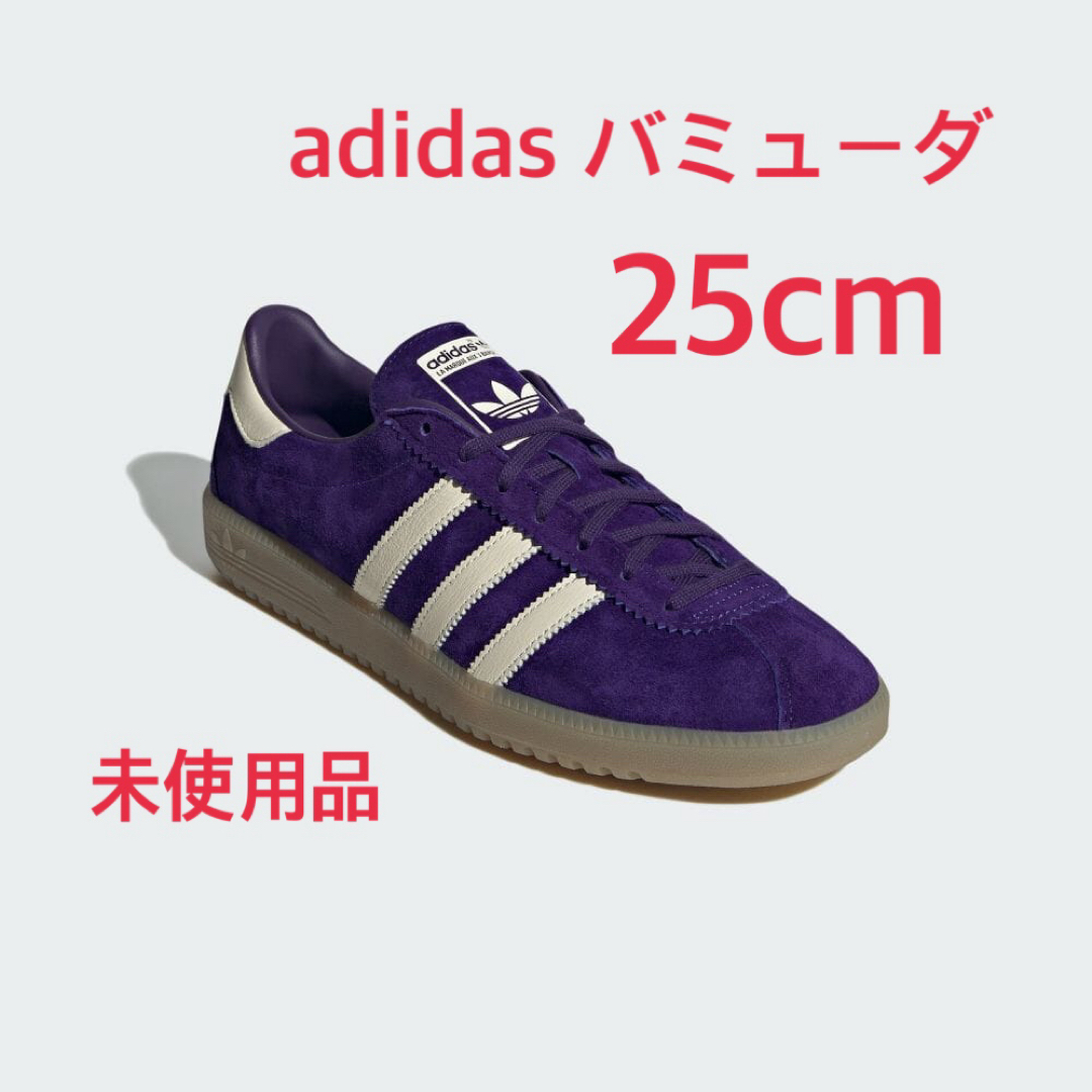 adidas(アディダス)のadidas BERMUDA  25cm パープル レディースの靴/シューズ(スニーカー)の商品写真