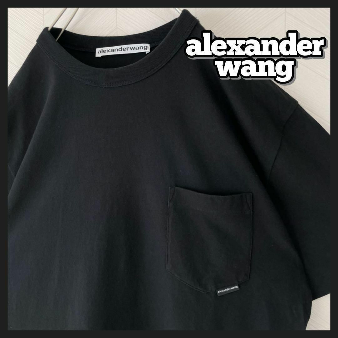 Alexander Wang(アレキサンダーワン)の完売品 登坂広臣着用 alexander wang Tシャツ メンズ 黒 ポケT メンズのトップス(Tシャツ/カットソー(半袖/袖なし))の商品写真