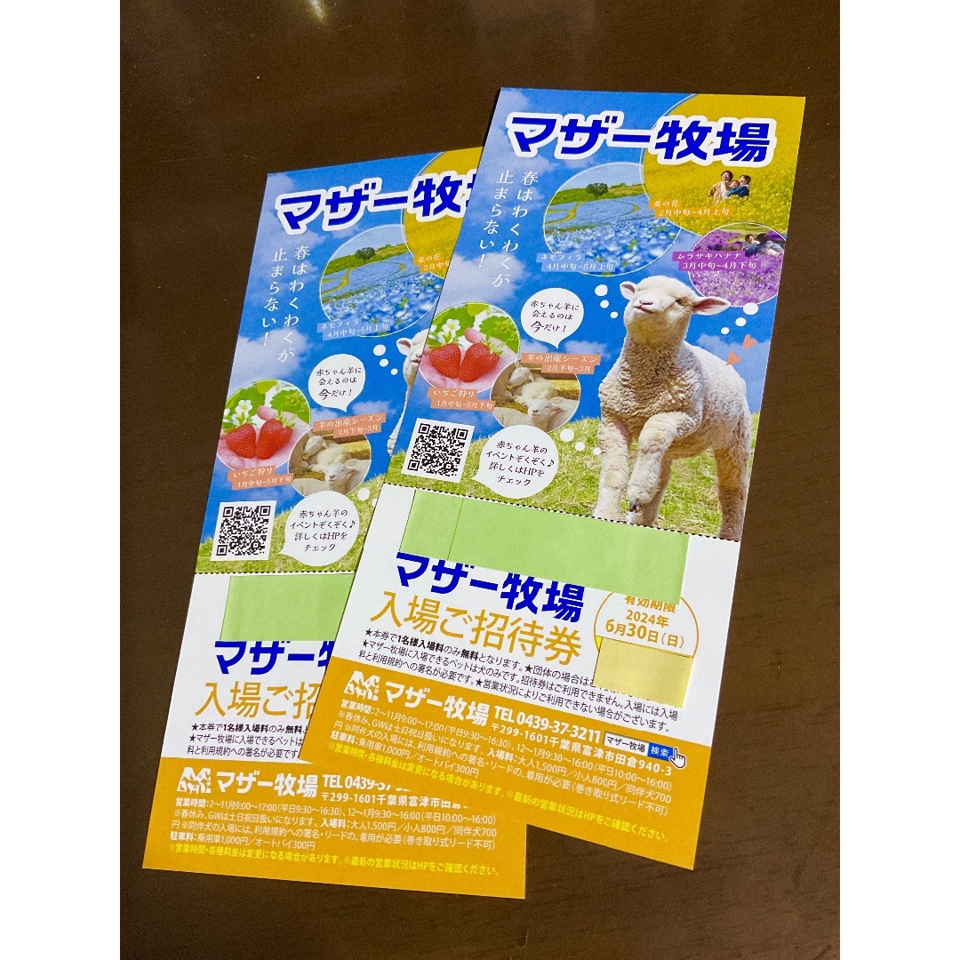 ’24.６/ 30 迄 ⭐︎ 千葉県 マザー牧場 ⭐︎ 入園券２枚セットです！ チケットの施設利用券(動物園)の商品写真