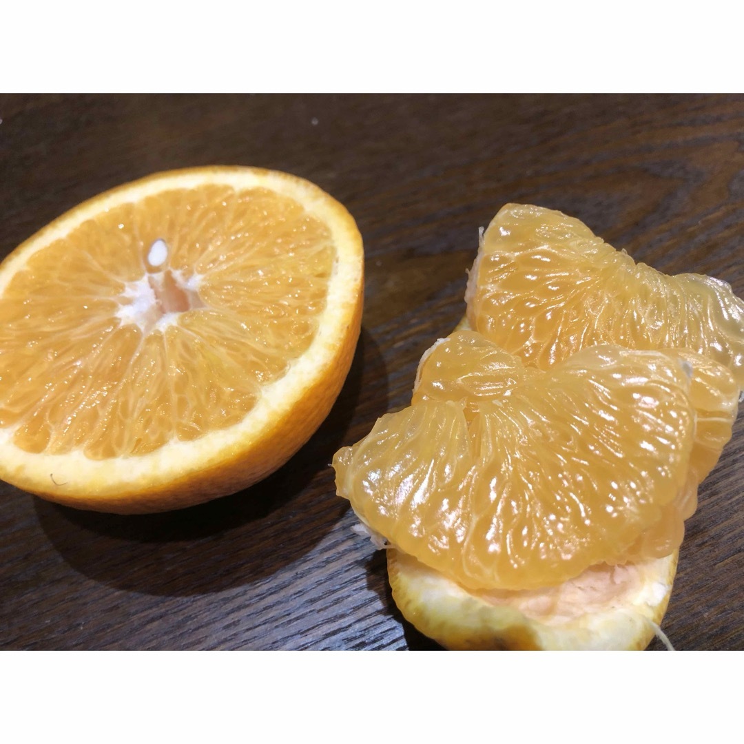 和歌山産有田の木成り八朔S M混合10キロ赤青秀相当品 食品/飲料/酒の食品(フルーツ)の商品写真