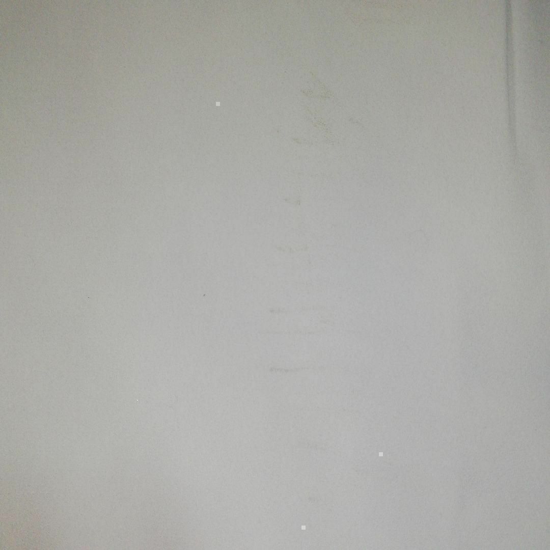 SNOOPY(スヌーピー)のスヌーピー　ブラウス　ノースリーブ　襟付き　リボン　ビーズ　S レディースのトップス(シャツ/ブラウス(半袖/袖なし))の商品写真