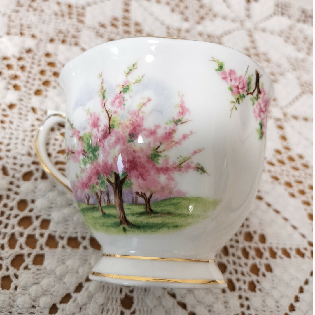 ROYAL ALBERT(ロイヤルアルバート)のロイヤルアルバート ブロッサム タイム カップ&ソーサー  1客 美品 廃盤品 インテリア/住まい/日用品のキッチン/食器(グラス/カップ)の商品写真