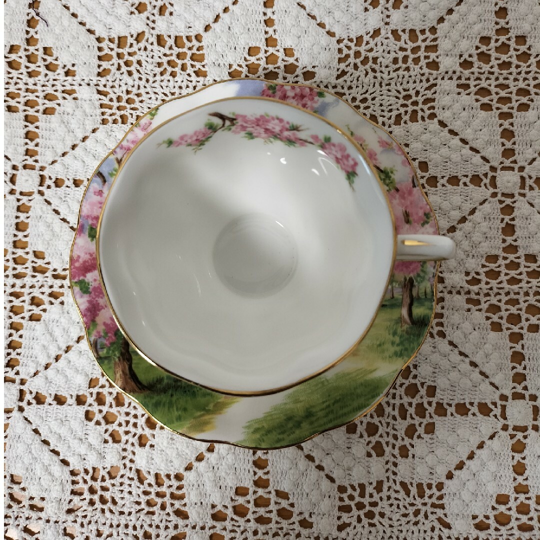 ROYAL ALBERT(ロイヤルアルバート)のロイヤルアルバート ブロッサム タイム カップ&ソーサー  1客 美品 廃盤品 インテリア/住まい/日用品のキッチン/食器(グラス/カップ)の商品写真