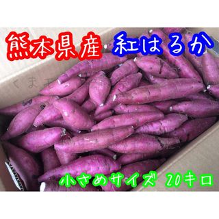 熊本県産 新物紅はるか 小サイズ 優品 箱込20キロ(野菜)