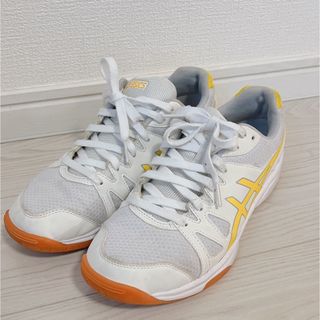 アシックス(asics)のasics体育館シューズ26.0㎝(その他)