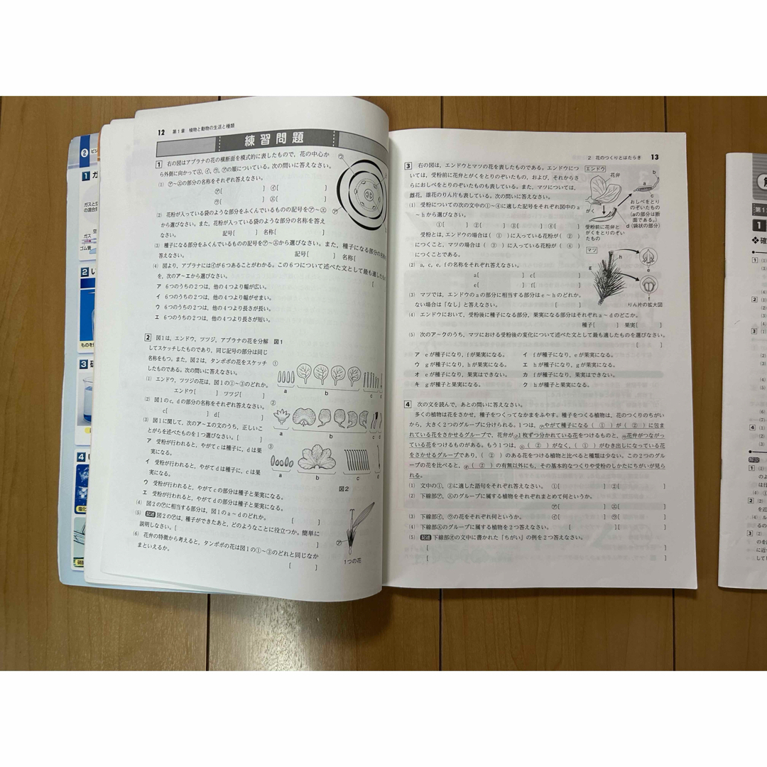 【中古】中1  理科　問題集　2冊セット　中学1年 エンタメ/ホビーの本(語学/参考書)の商品写真