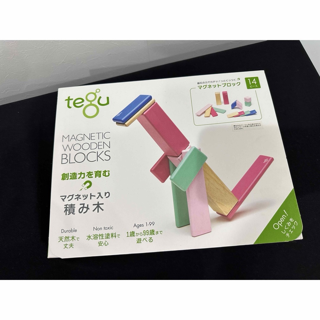 DADWAY(ダッドウェイ)のTegu テグ 積み木 マグネットブロック 14ピース/ブロッサム TYTU00 キッズ/ベビー/マタニティのおもちゃ(その他)の商品写真