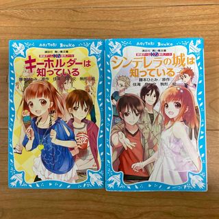 コウダンシャ(講談社)のキーホルダーは知っている シンデレラの城は知っている(絵本/児童書)