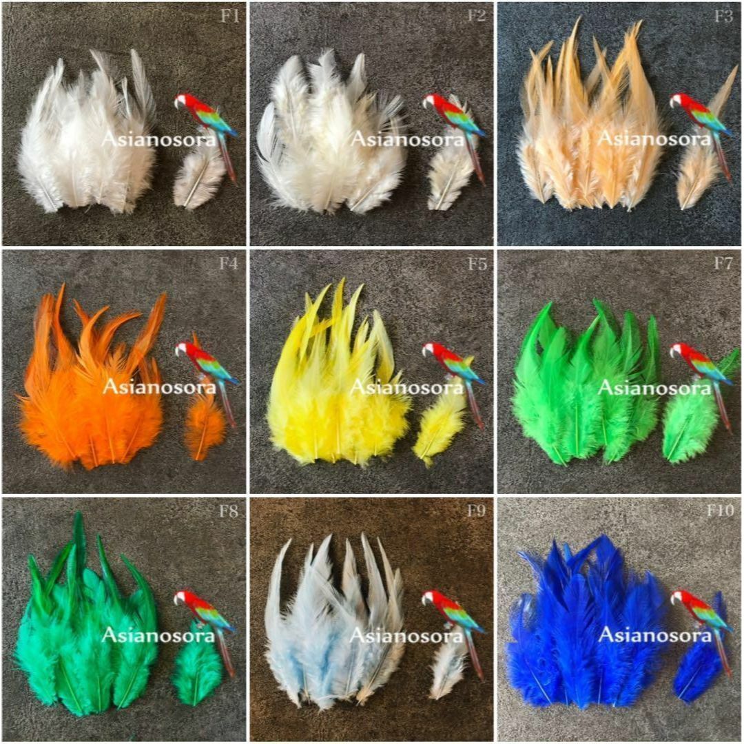 【F羽根 各色】10枚 羽 フェザー 鳥の羽根 素材 パーツ アクセサリー ハンドメイドの素材/材料(その他)の商品写真