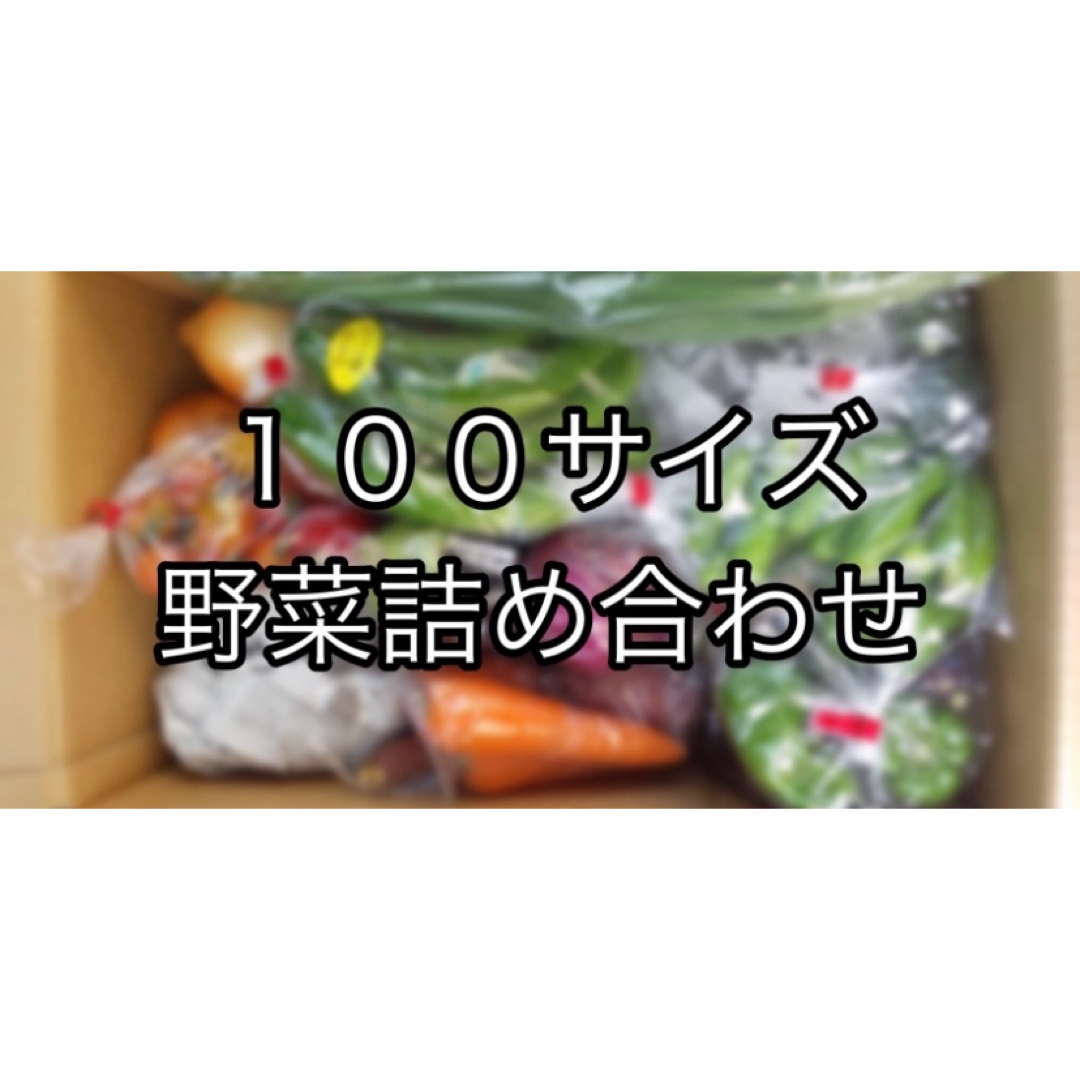 【野菜好きの方に！】100サイズ　野菜詰め合わせ　野菜ボックス　茨城県産 食品/飲料/酒の食品(野菜)の商品写真