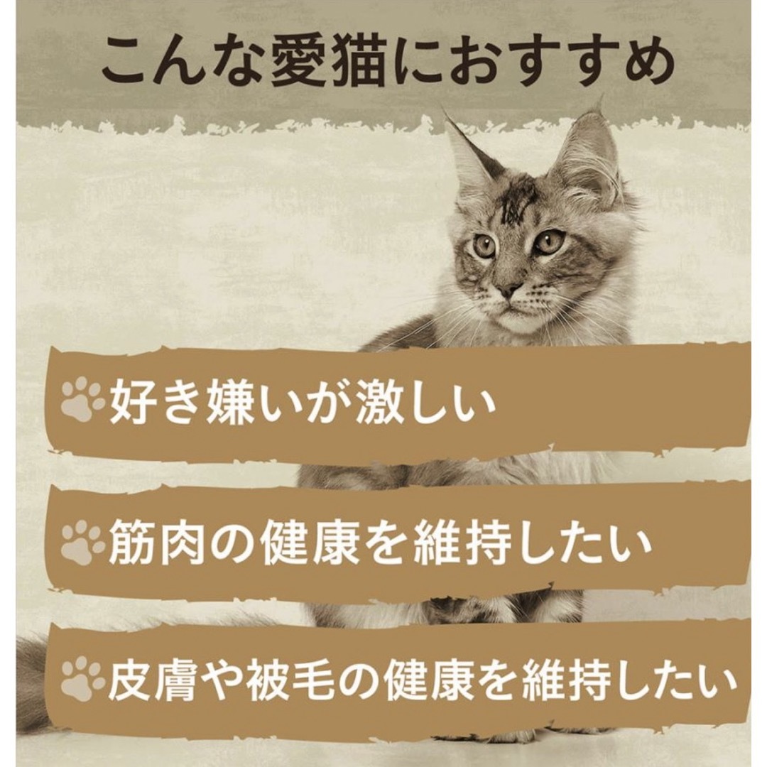 値下げ！ニュートロ　ワイルドレシピ　アダルトチキン　キャットフード　訳ありです その他のペット用品(猫)の商品写真