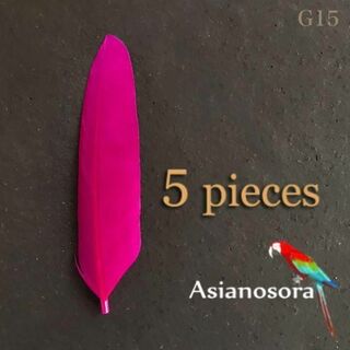【G15 濃ピンク】5枚 ガチョウ 羽根 フェザー 鳥の羽根 羽  パーツ(各種パーツ)
