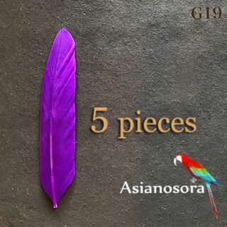 【G19 紫】5枚 ガチョウ 羽根 フェザー 鳥の羽根 羽 アクセサリー パーツ(その他)