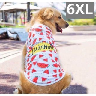 【ペット用】大型犬用 犬服 夏の大人気 すいか柄 メッシュタンクトップ 6XL(犬)