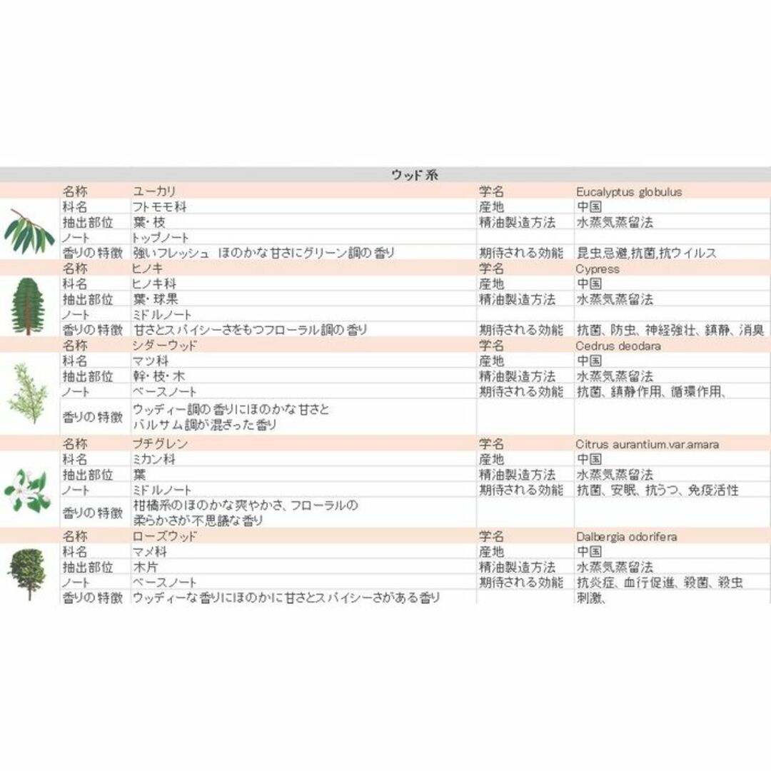 ★5ml×6本★ 精油 アロマオイル セット 加湿器 スポイト付 36種から選択 コスメ/美容のリラクゼーション(エッセンシャルオイル（精油）)の商品写真