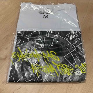 欅坂46(けやき坂46) - 欅坂46 ライブTシャツ 2019 Mサイズ