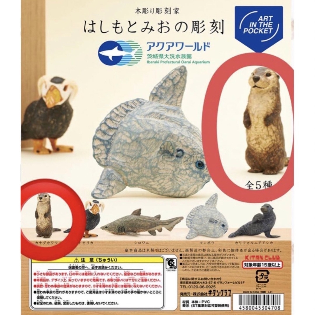 KITAN CLUB(キタンクラブ)の【新品】はしもとみおの彫刻 アクアワールド 大洗水族館 カナダカワウソ カワウソ エンタメ/ホビーのフィギュア(その他)の商品写真