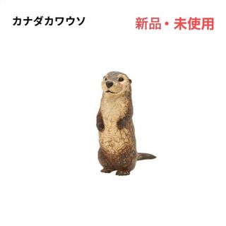 キタンクラブ(KITAN CLUB)の【新品】はしもとみおの彫刻 アクアワールド 大洗水族館 カナダカワウソ カワウソ(その他)