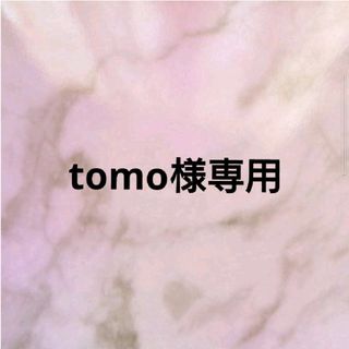 tomo様専用☆チタンポストピアス(ピアス)