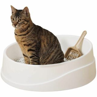 アイリスオーヤマ 猫 トイレ 猫トイレ本体 ネコトイレ 倒れにくい オープンタイ(猫)