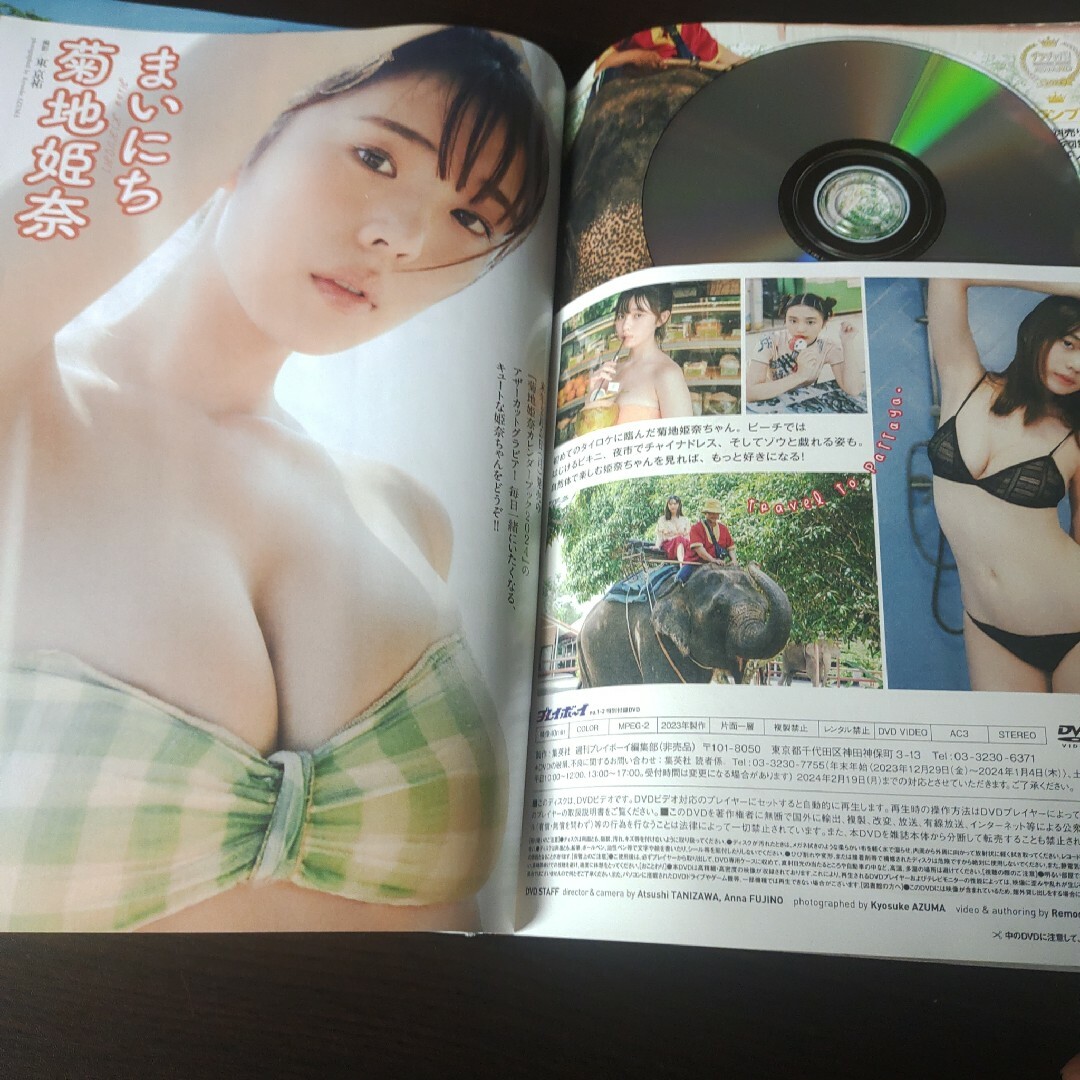 PLAYBOY(プレイボーイ)の菊池姫奈   DVD付   週刊プレイボーイ  ２冊 エンタメ/ホビーの雑誌(アート/エンタメ/ホビー)の商品写真