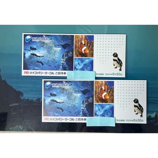 新江ノ島水族館　入場招待券  2枚（大人・小人共通）2名様分　6月30日迄