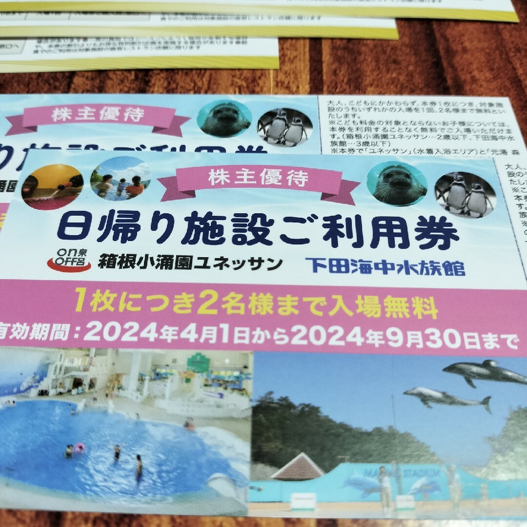 藤田観光 株主優待 日帰り 施設ご利用券 2枚 株主優待券 4枚 チケットの施設利用券(その他)の商品写真