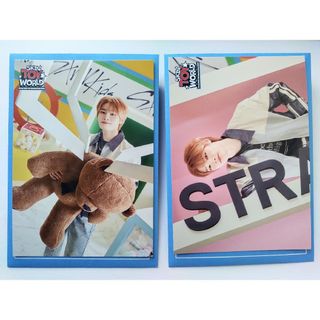 ストレイキッズ(Stray Kids)のstraykids SKZ TOY WORLD アイエン ラントレ 2枚(アイドルグッズ)