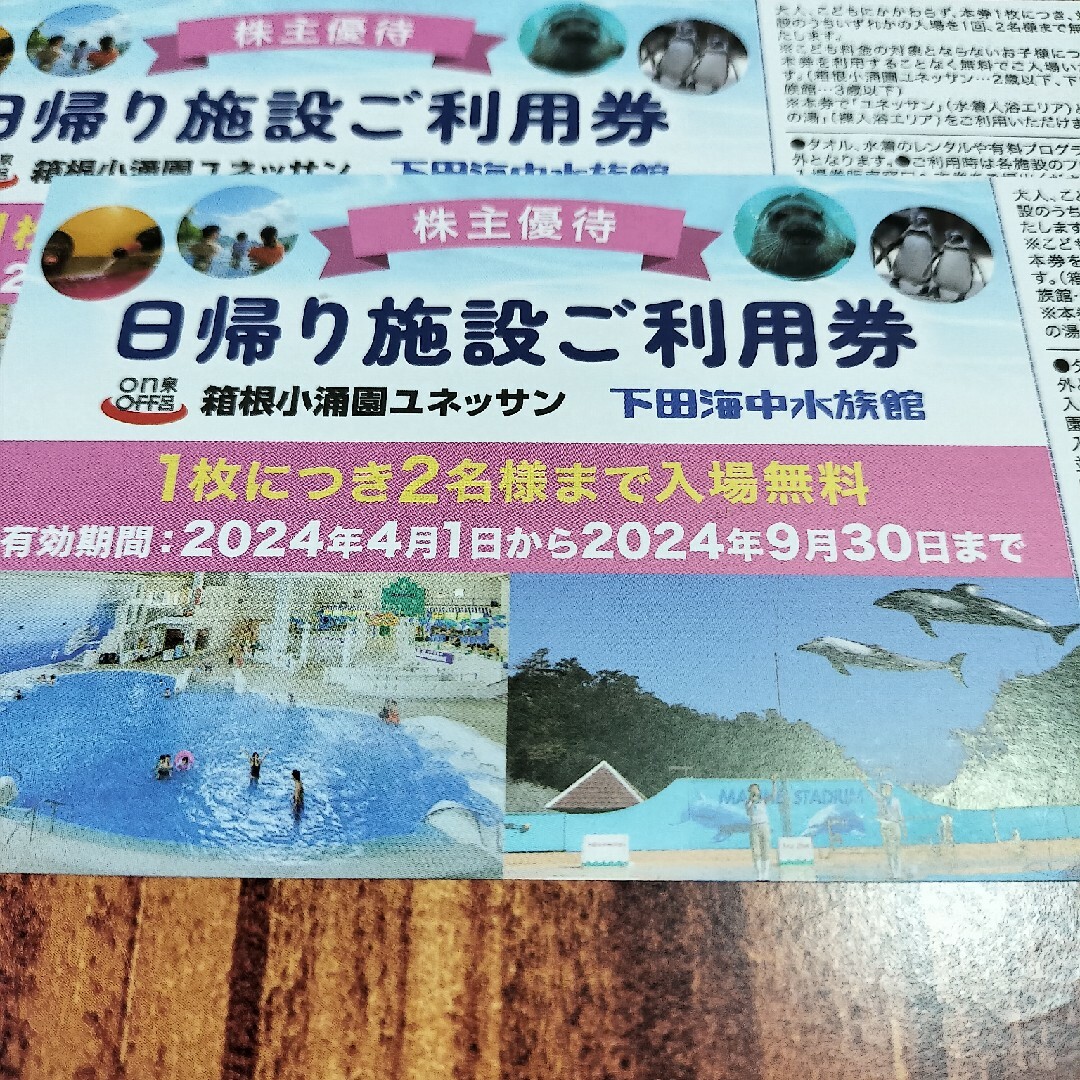 藤田観光 株主優待 日帰り施設 ご利用券 2枚 株主優待券 4枚  ユネッサン チケットの施設利用券(その他)の商品写真