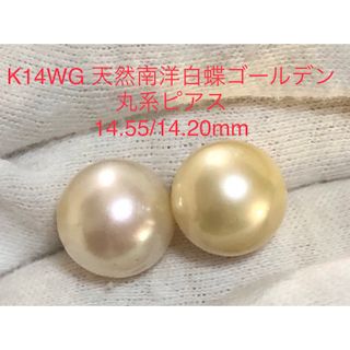 K14WG 天然南洋白蝶ゴールデン真珠ピアス　丸系　14.55/14.20mm(ピアス)