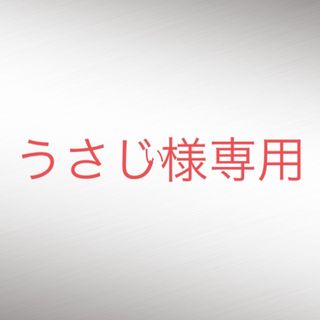 トリンプ(Triumph)のうさじい様専用(ブラ)