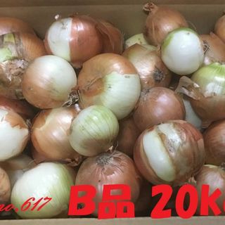 北海道産タマネギ　Ｂ品　20kg　農家直送(野菜)