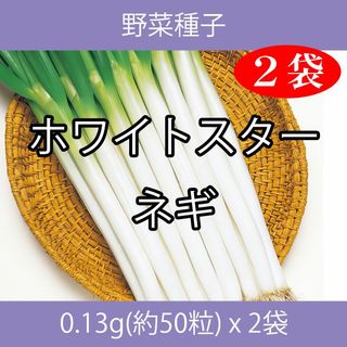 野菜種子 TVA11 ホワイトスターネギ 0.13g(約50粒) x 2袋(野菜)