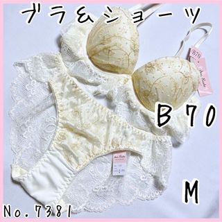 ブラジャーショーツセットＢ70    No.7381