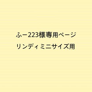 ふー223様専用ページリンディミニサイズ用バッグインバッグ(ハンドバッグ)