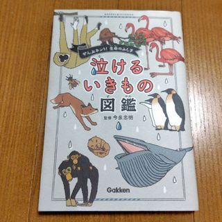 ガッケン(学研)の泣けるいきもの図鑑(絵本/児童書)