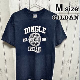 ギルタン(GILDAN)のUSA古着　GILDAN　Tシャツ　Mサイズ　ネイビー　杢カラー　プリント　ロゴ(Tシャツ/カットソー(半袖/袖なし))