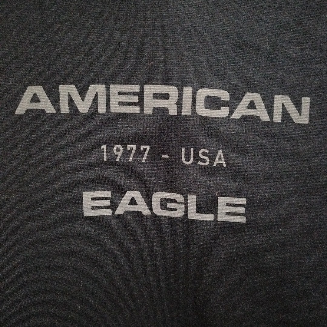 American Eagle(アメリカンイーグル)のAmericanEagle アメリカンイーグル 24/7 フーディー（パーカー） メンズのトップス(パーカー)の商品写真