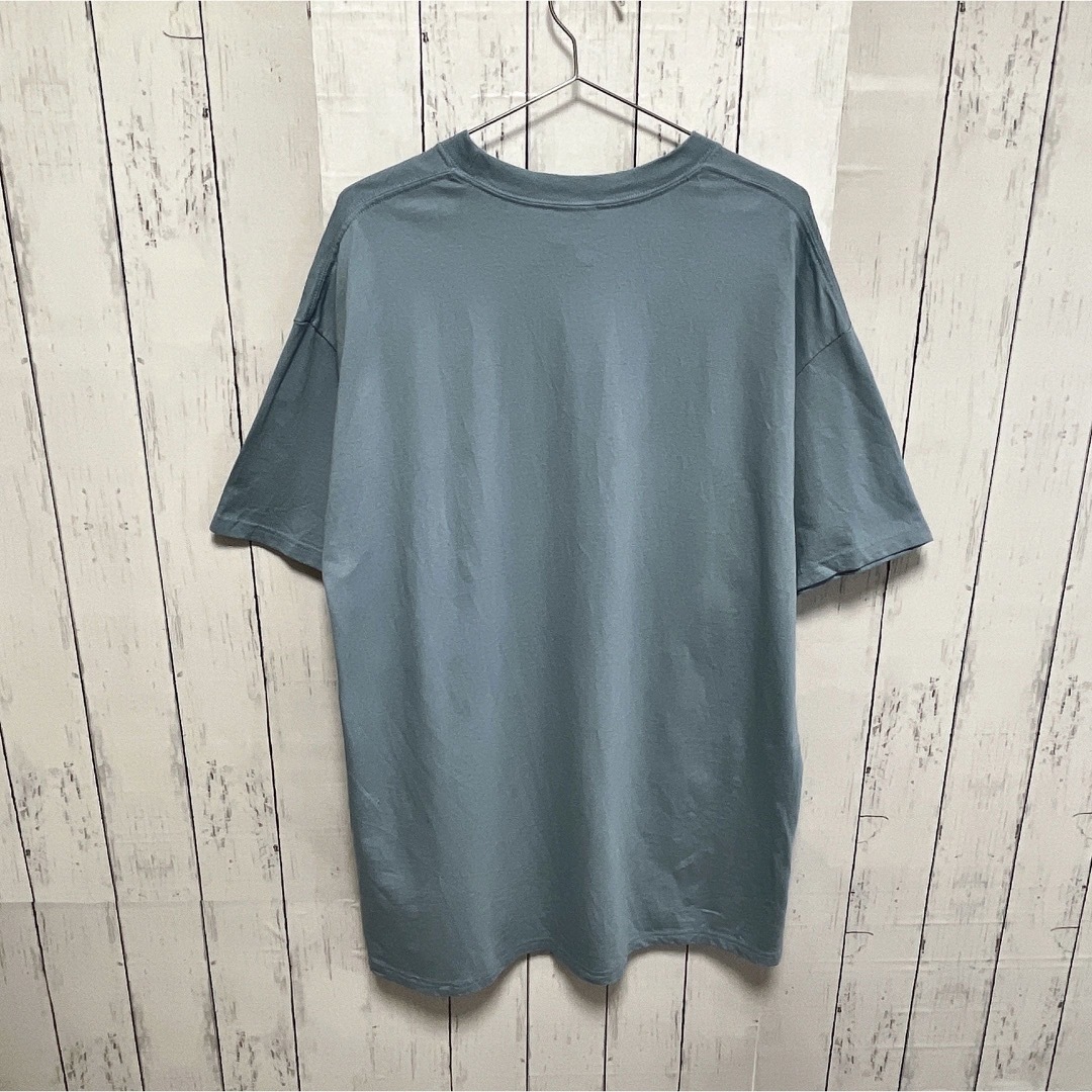 Hanes(ヘインズ)のHanes　Tシャツ　XL　グレーブルー　牛タグ　プリント　ツリー　USA古着 メンズのトップス(Tシャツ/カットソー(半袖/袖なし))の商品写真