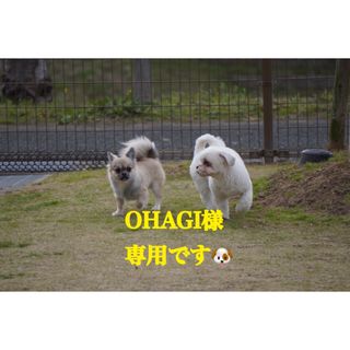 ササミジャーキー(ペットフード)