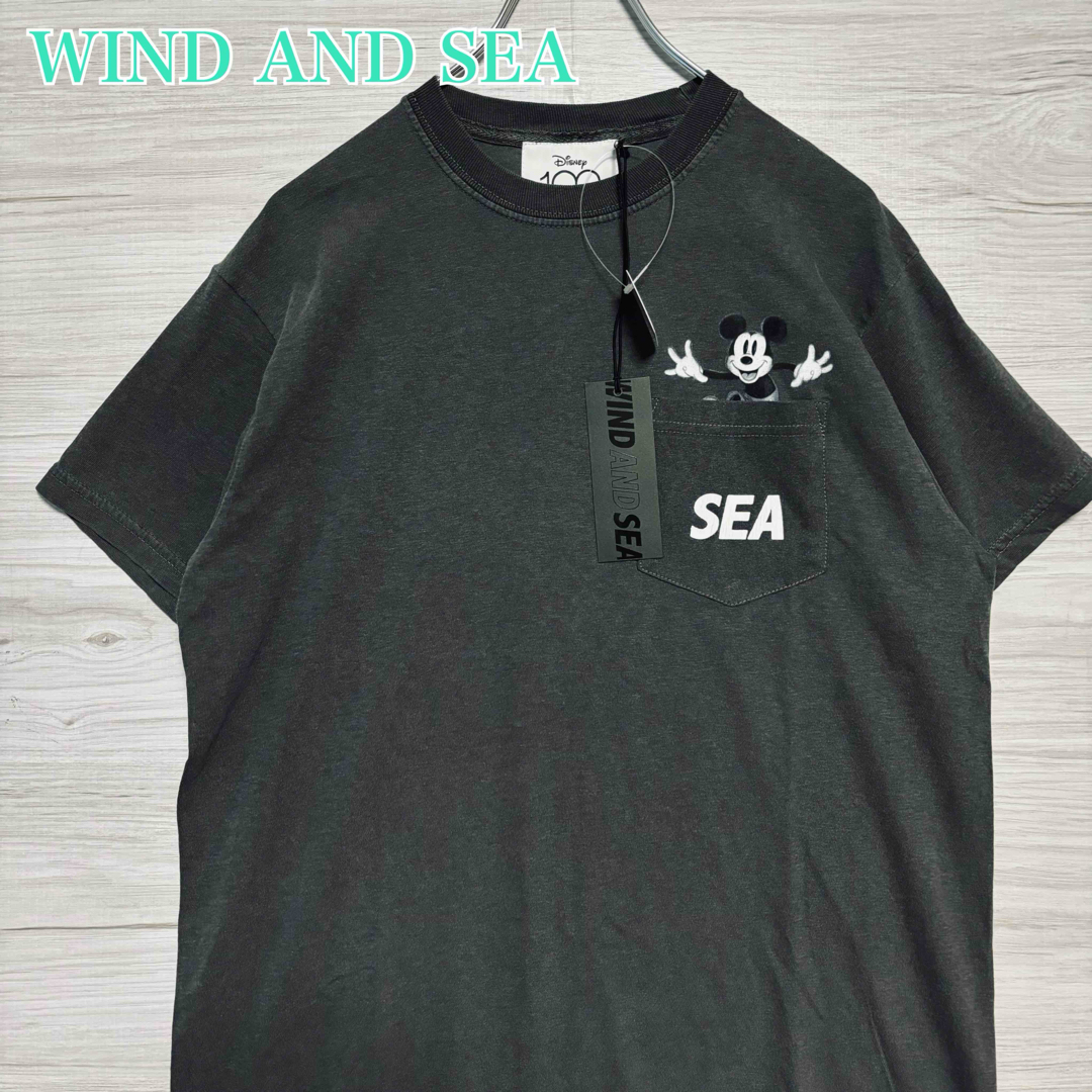 WIND AND SEA(ウィンダンシー)の【タグ付き】WIND AND SEA ディズニー100周年記念コラボ Tシャツ メンズのトップス(Tシャツ/カットソー(半袖/袖なし))の商品写真