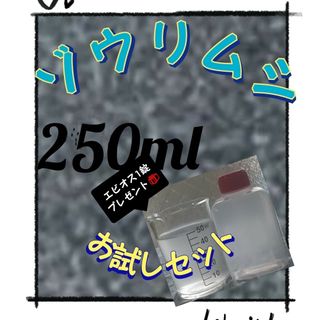 ゾウリムシ 250ml 培養 種水 お試しセット!!エビオスプレゼント(アクアリウム)