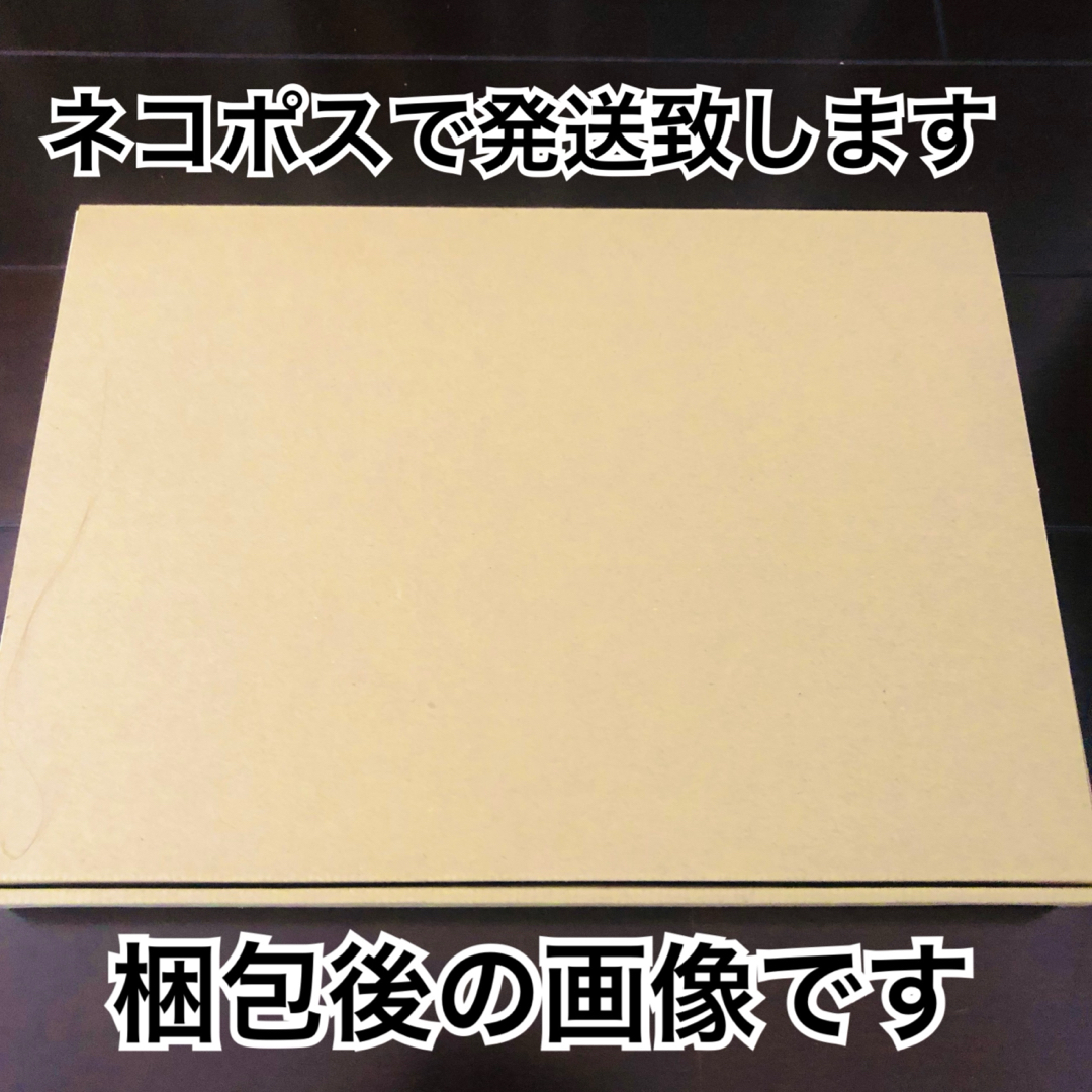 生豆 800g パプアニューギニア ワイルドハイランド スペシャリティ コーヒー 食品/飲料/酒の飲料(コーヒー)の商品写真