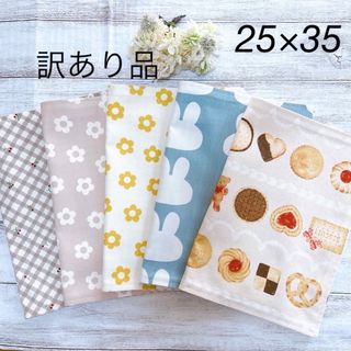 ランチョンマット　25×35  女の子　ニュアンス　くすみ　訳あり　5枚(外出用品)