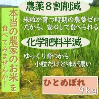 特別栽培米　農薬８割削減　化学肥料半減　ひとめぼれ９kg(米/穀物)