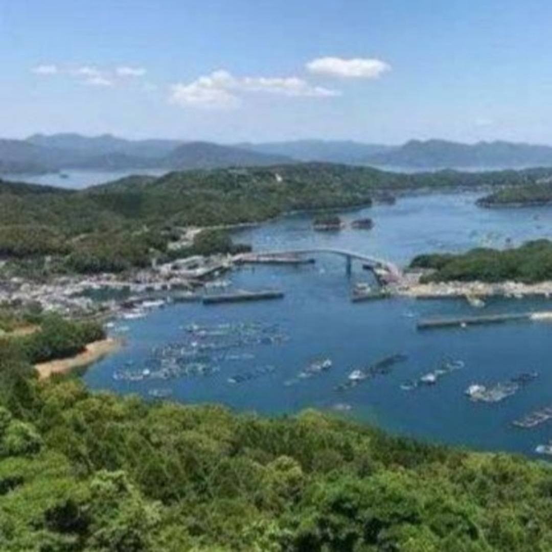 鹿児島県長島町産 あおさ あおさのり  乾燥あおさ 食品/飲料/酒の加工食品(乾物)の商品写真