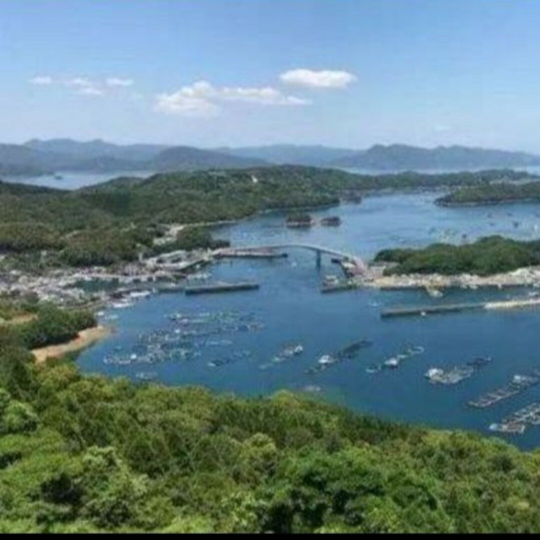 鹿児島県長島町産 あおさ あおさのり  乾燥あおさ 食品/飲料/酒の加工食品(乾物)の商品写真